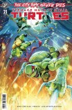 Teenage Mutant Ninja Turtles #21 Variant D
