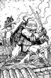 Teenage Mutant Ninja Turtles #21 10 Copy Eastman Variant
