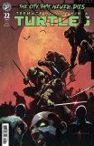 Teenage Mutant Ninja Turtles #22 Cvr C