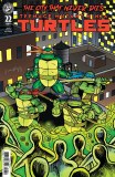 Teenage Mutant Ninja Turtles #22 Cvr D
