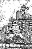 Teenage Mutant Ninja Turtles #23 10 Copy Variant
