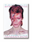 Bowie Alladin Sane Magnet