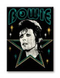 David Bowie Star 2.5 x 3.5 Magnet