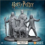 Harry Potter Miniatures Adventure Game Order of the Phoenix Expansion