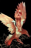 Unkindness of Ravens #1 Cvr B
