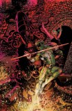 Power Rangers Green #2 Foil Variant