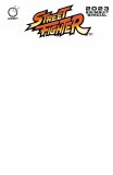 2023 Street Fighter Swimsuit Special #1 Cvr C