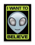 Aliens I Want To Believe Flat Magnet