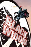 Black Widow & Captain America By Waid & Samnee Omnibus HC
