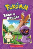 Pokemon Race to Danger Chapter Book