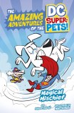 Magical Mischief (The Amazing Adventures of the DC Super Pets)