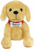 Biscuit the Dog 10 In Plush Doll