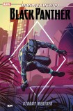Marvel Action Black Panther TP Book 01 Stormy Weather