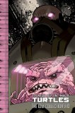 Teenage Mutant Ninja Turtles Ongoing IDW Collection TP Vol 10