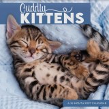2027 Cuddly Kittens Wall Calendar