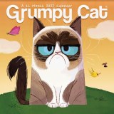 2027 Grumpy Cat Mini Calendar