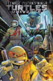 Teenage Mutant Ninja Turtles Universe IDW #23 22 x 34 Poster