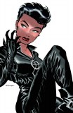 Catwoman TP VOL 01