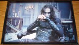 Crow Sitting Poster