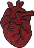 Human Heart Patch