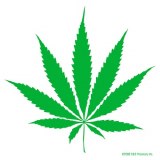 Pot Leaf Sticker