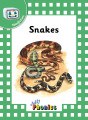 Jolly Phonics Readers Green Level 3 Nonfiction Pack of 6 books