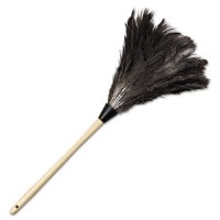 Feather Duster 23" Ostrich
