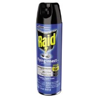 Raid Flying Insect Killer (12)