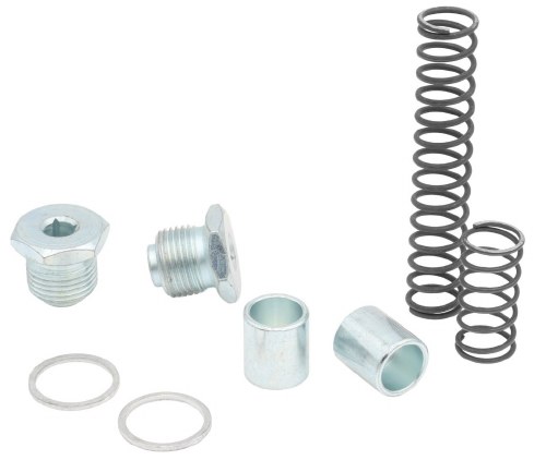 Oil Pressure Spring Kit - Dual