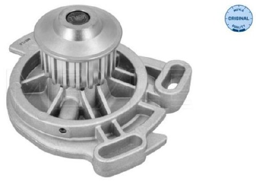 Water Pump Eurovan Early