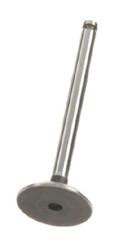 Intake Valve 16V