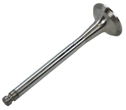 Exhaust Valve 16V