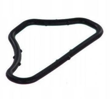 Coolant Flange Seal