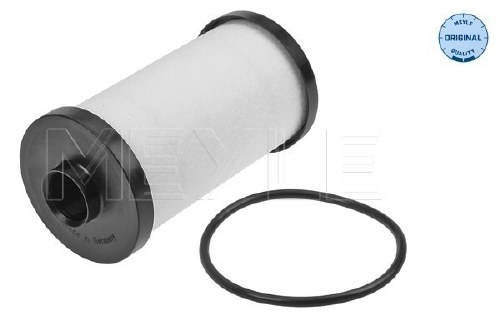 DSG Filter