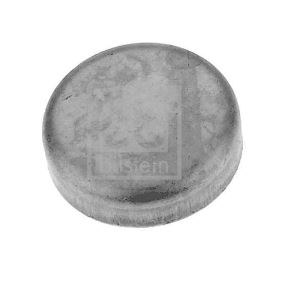 Frost Plug