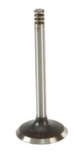 Intake Valve
