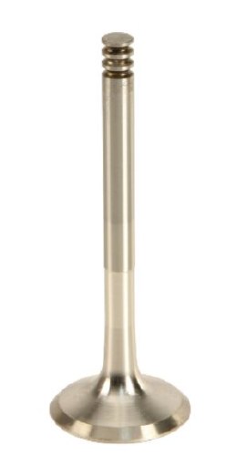 Exhaust Valve