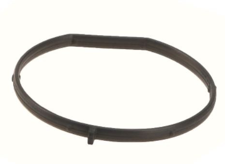 EGR Valve Gasket