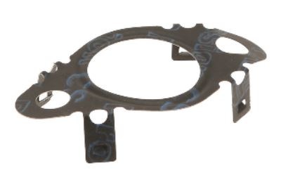 EGR Cooler Gasket