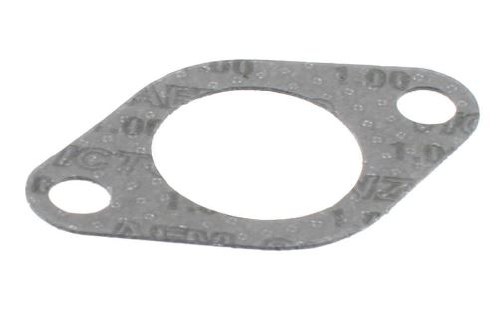 EGR Gasket