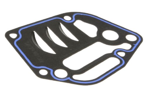 Oil Filter Bracket Gasket
