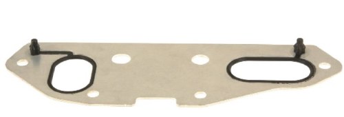 Oil Cooler Gasket