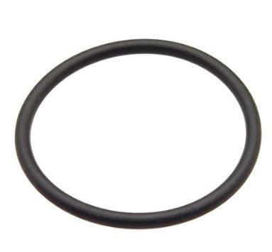 Water Pump Seal