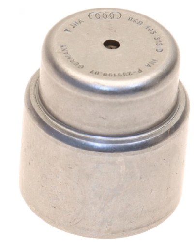Pilot Bearing DSG