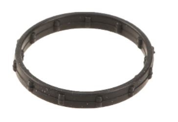 Coolant Pipe O-Ring