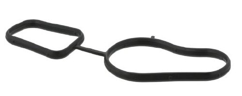 Water Pump Housing Gasket