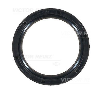Oil Seal