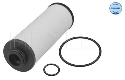 DSG Filter