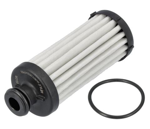 DSG Filter