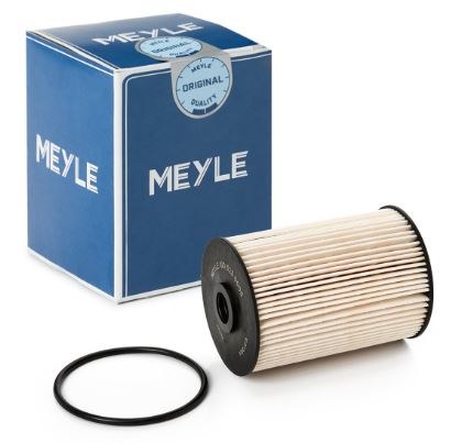 Fuel Filter Meyle 1003230005